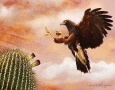 Harris Hawk Cactus