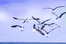 Sea Gulls #1