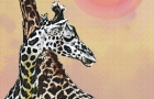 2-GIRAFFEES-tall-