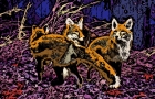 3-FOXES-WOODCUT