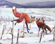 3-foxes in snow
