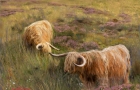 COOS-4-PRINT