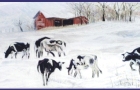 Cows-in-snow-pastel