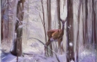 DEER-IN-SNOWY-WOODS