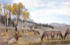 ELK-in-Aspen