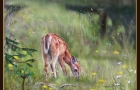 FAWN-IN-MEADOW