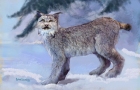 LYNX-IN-SNOW-
