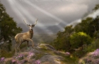 PAMS-STAG-9-23