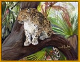 Amur-Leopard