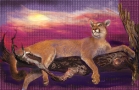cougar-on-limb-4-print