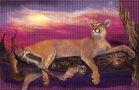 Cougar-on-limb-