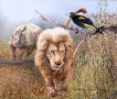 Rhino & Lion