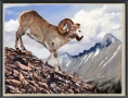 Rockies-ram-