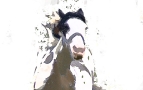 Running Horse
