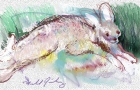 running-rabbit