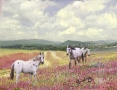 spring-horses
