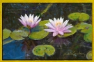 pink-water-lilly