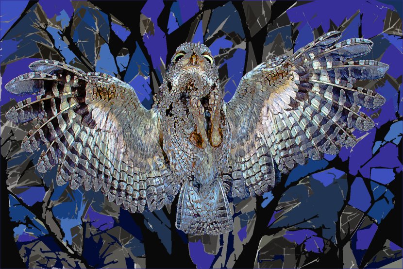 night-owl-