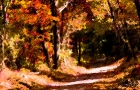 Fall Road: Virginia