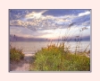 Edisto Evening Beach