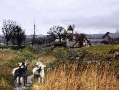 Stonewall England