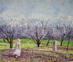 Girls in Orchard