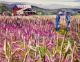 Picking Dandelions in Purple Field