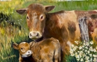 COWS