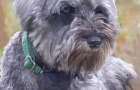 ROXY-4-11