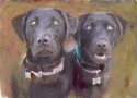 LABS COMMISIONED