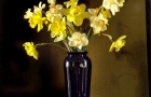 Dafodils-blue-vase